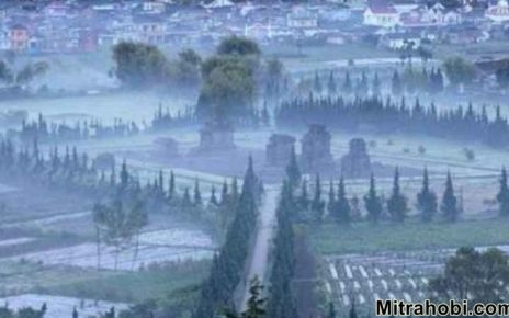 foto dieng membeku