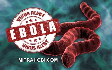 peringatan virus ebola