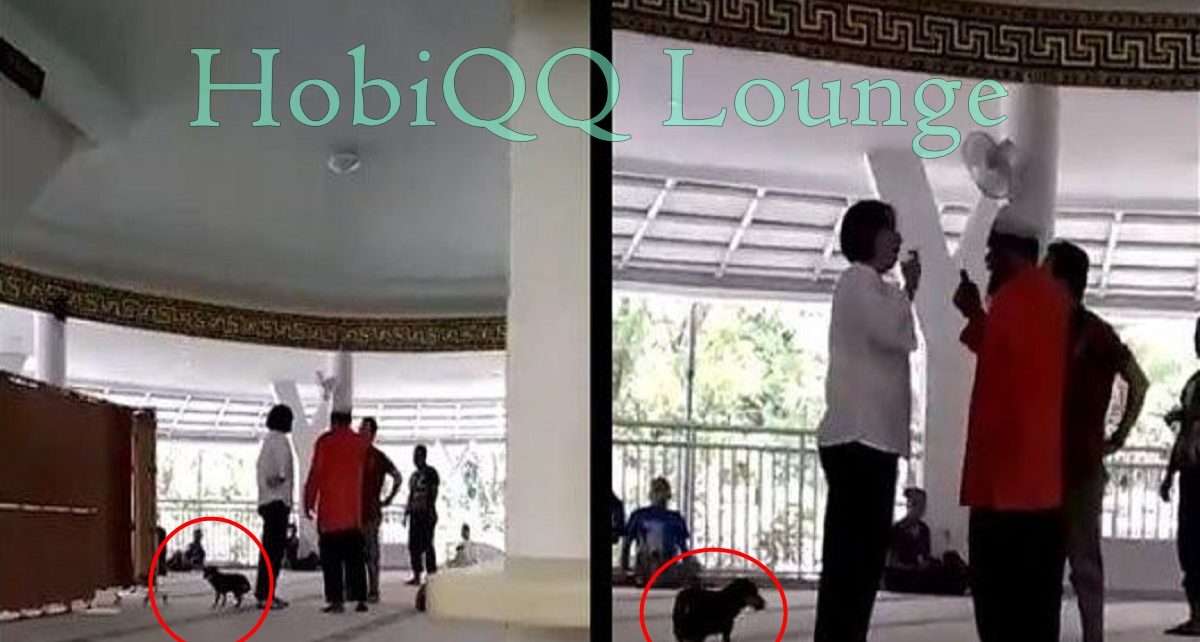 Video Viral Seorang Ibu Bawa Anjing Ke Masjid