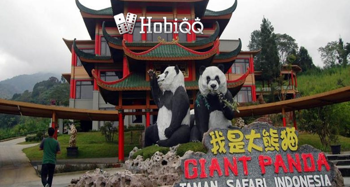 Megahnya Istana Panda Indonesia di Taman Safari Bogor