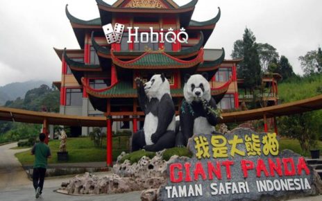 Megahnya Istana Panda Indonesia di Taman Safari Bogor