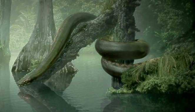 Ular Titanoboa yang lebih besar dari raja piton