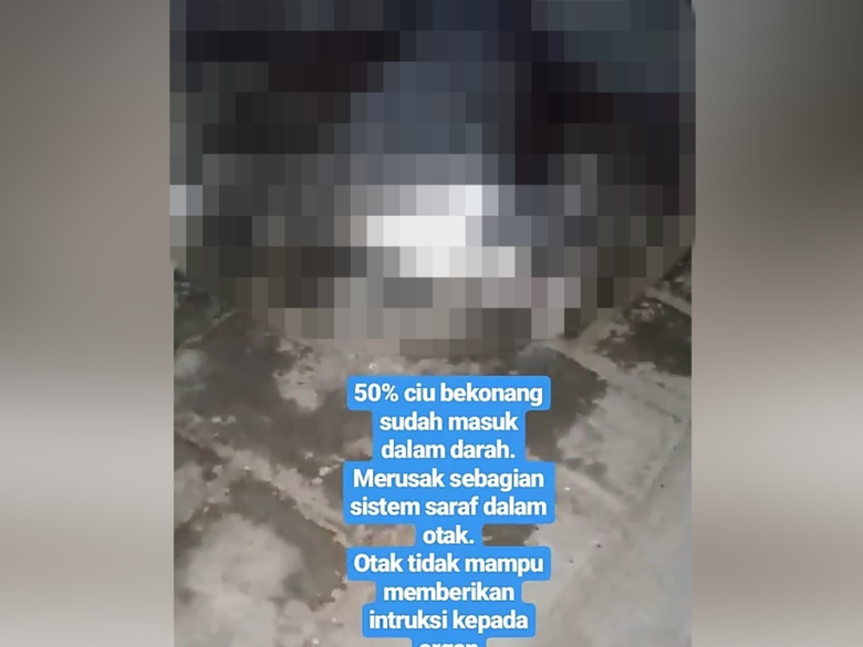 video kucing dicekoki ciu yang viral