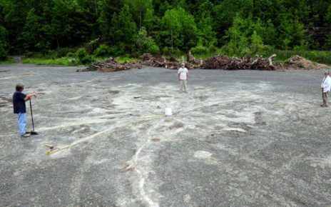 Hutan Tertua di Dunia