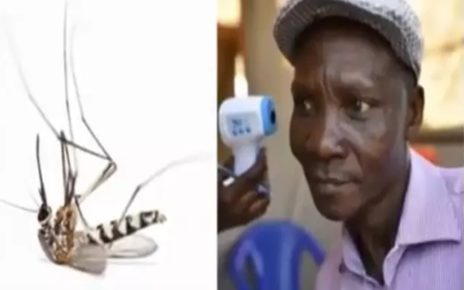 Pria Uganda Klaim Kentutnya Bisa Membunuh Nyamuk