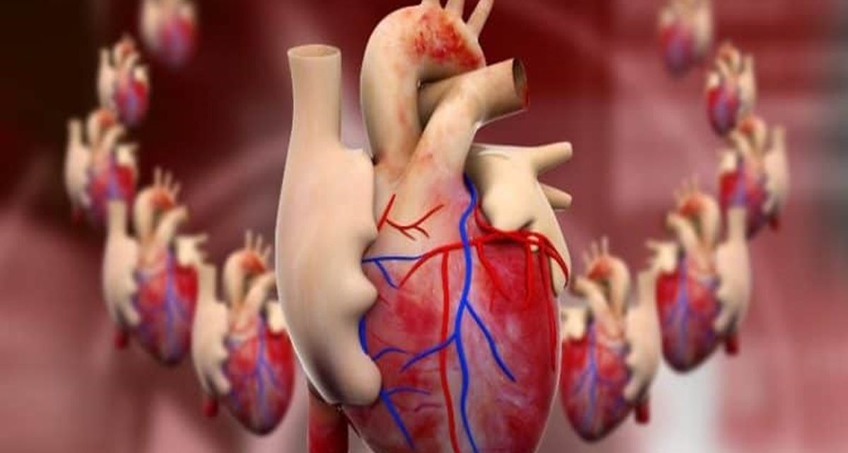 6 Cara Memperkuat Jantung Yang Lemah