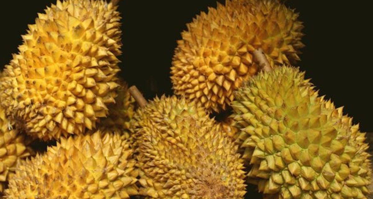 5 Tips Jitu Memilih durian Segar