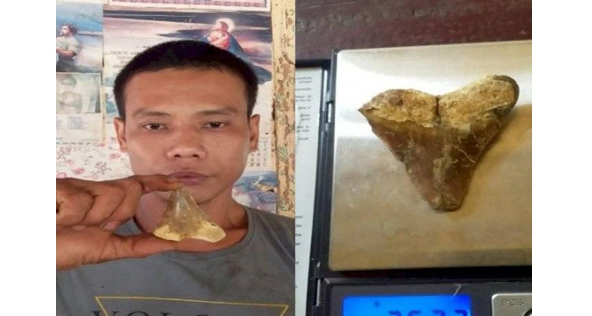 Benda Aneh dari Dalam Batu, Pria ini Mengaku Rezekinya Semakin Lancar