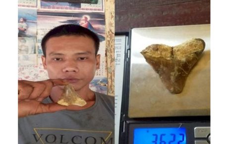 Benda Aneh dari Dalam Batu, Pria ini Mengaku Rezekinya Semakin Lancar