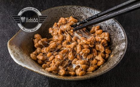 manfaat natto