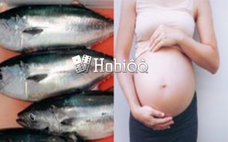 Murah dan Bergizi, Ini 5 Manfaat Ikan Tongkol untuk Ibu Hamil