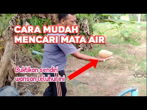 Mencari Mata Air dengan Kelapa Yang Lagi Viral, Ini Kata Ahli Geologi