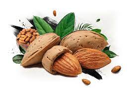 Almond | INC - International Nut and Dried Fruit Council