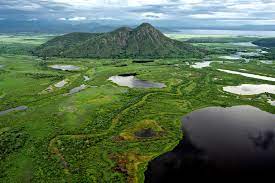 Brazil's Best Kept Secret: The Pantanal