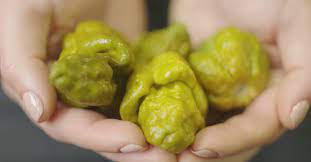 World's Hottest Pepper, Pepper X | Tasting Table