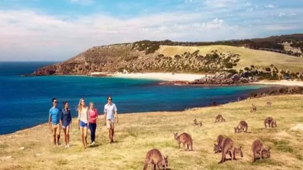 Wah Ternyata Ada Pantai Babi, Berikut 6 Objek Wisata Yang Dihuni Kawanan Hewan