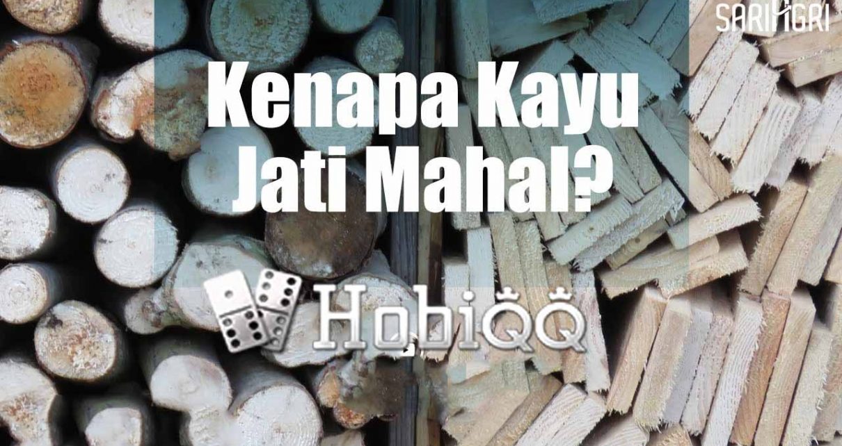 Kenapa Harga Kayu Jati