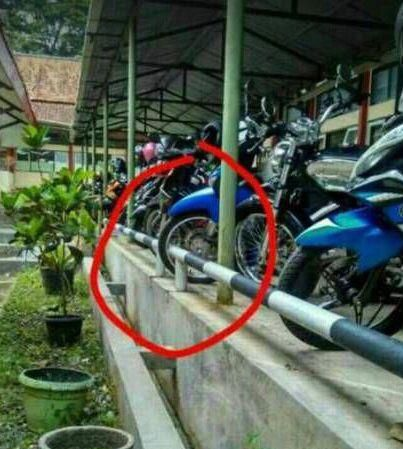 Foto Penampakan Aneh yang Sepintas Seram