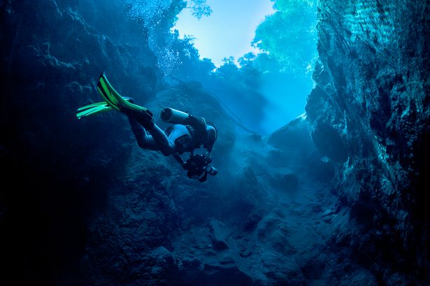 hal menyeramkan bawah laut