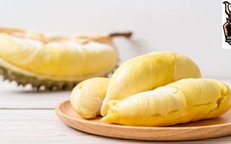 Manfaat Buah Durian Bagi Kesehatan