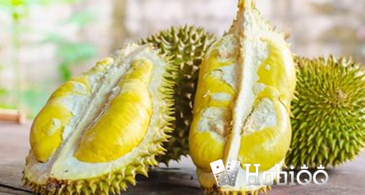 Kenapa Pusing Setelah Makan Durian