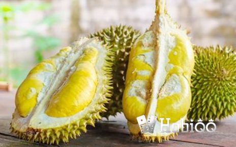 Kenapa Pusing Setelah Makan Durian