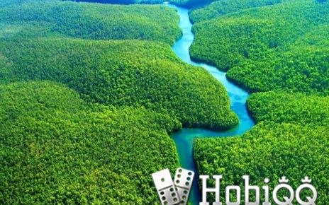 fakta hutan amazon