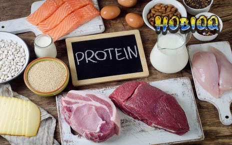 Makanan Tinggi Protein Bisa Dikonsumsi Setiap Saat