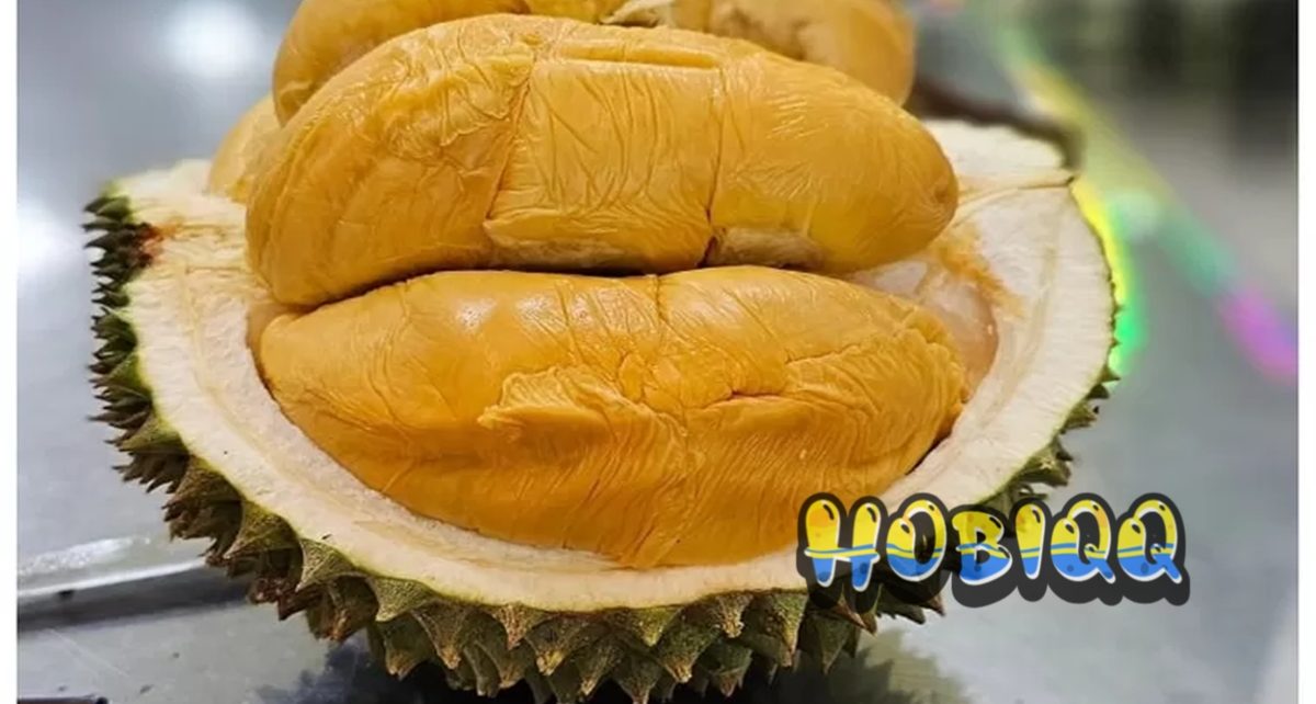 Penyebab Pusing Setelah Makan Durian