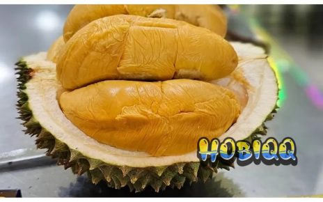 Penyebab Pusing Setelah Makan Durian