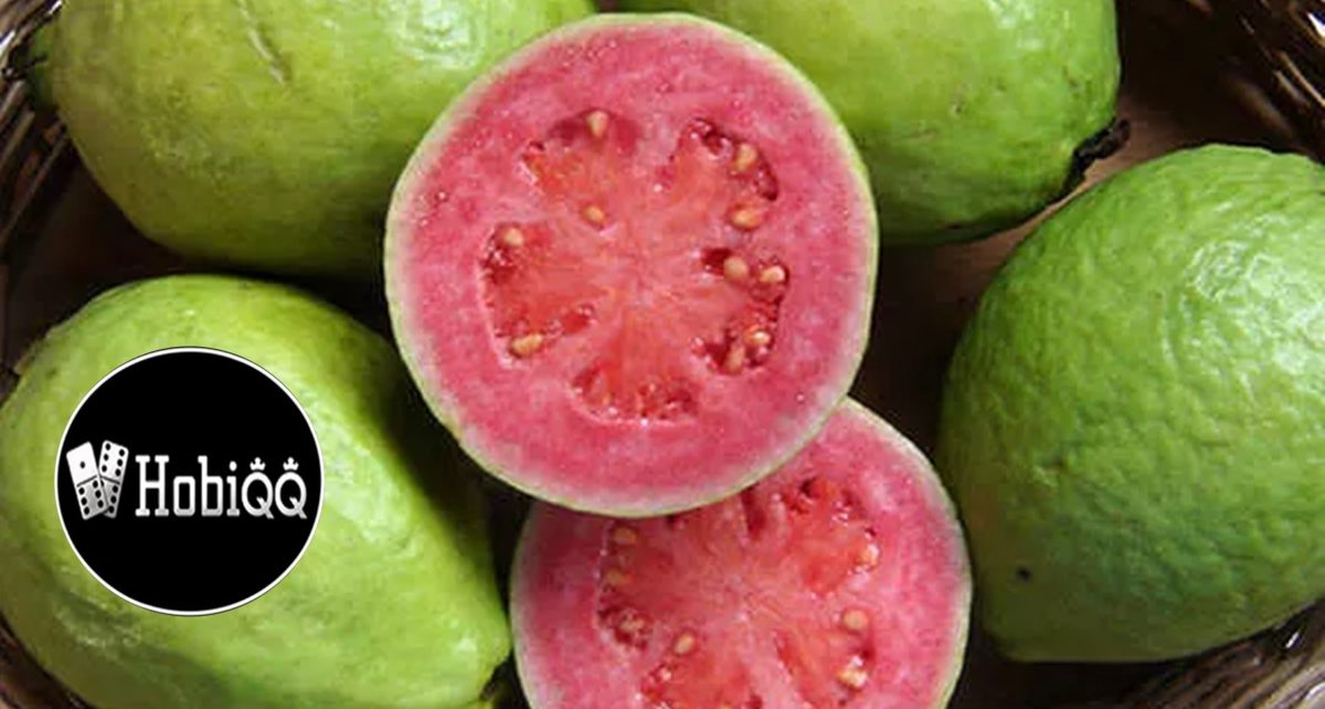 Manfaat Jambu Biji Merah Guava Untuk Kesehatan