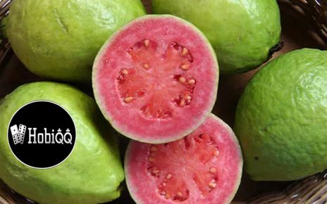 Manfaat Jambu Biji Merah Guava Untuk Kesehatan