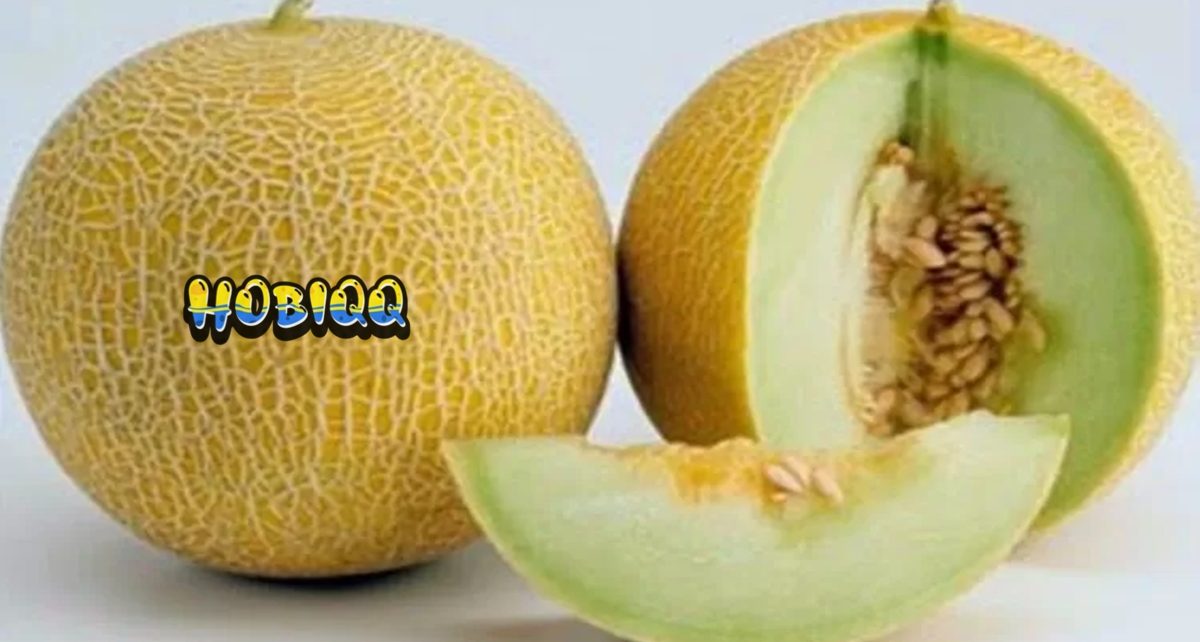 Mengenal Manfaat Buah Melon Untuk Kesehatan