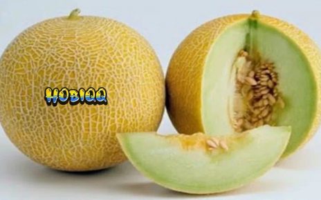 Mengenal Manfaat Buah Melon Untuk Kesehatan