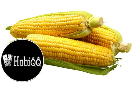 Manfaat Jagung Untuk Kesehatan