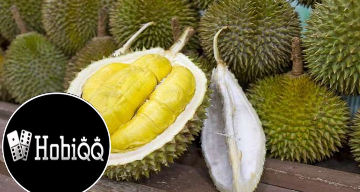 4 Manfaat Durian