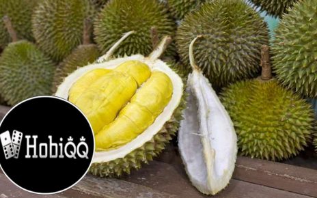 4 Manfaat Durian