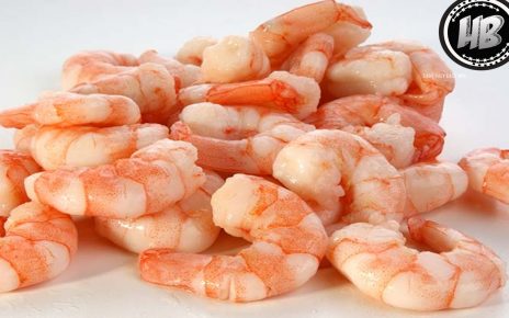 7 Manfaat Udang