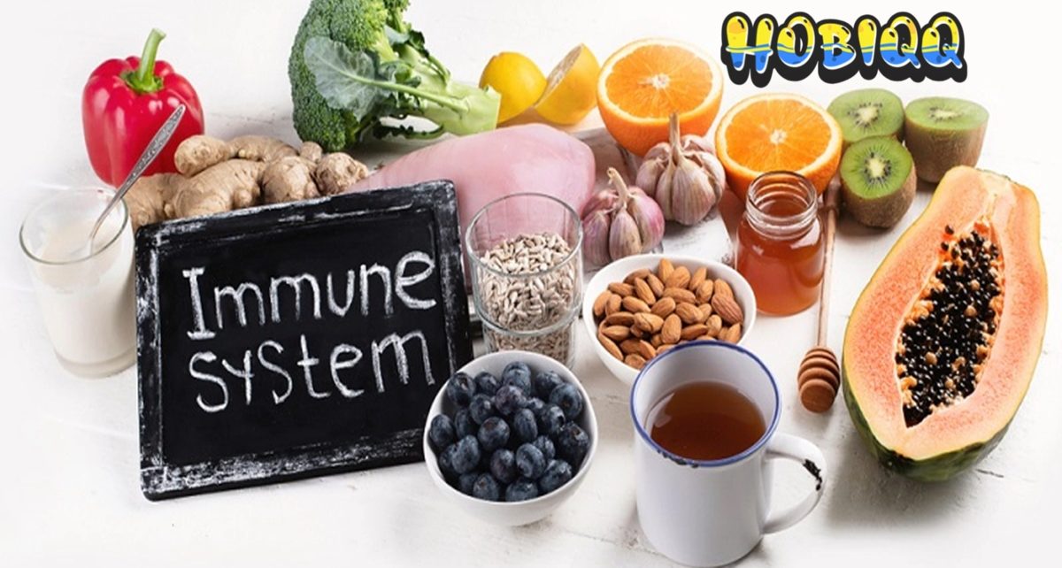 Makanan Dengan Peningkat Sistem Imun yang Baik