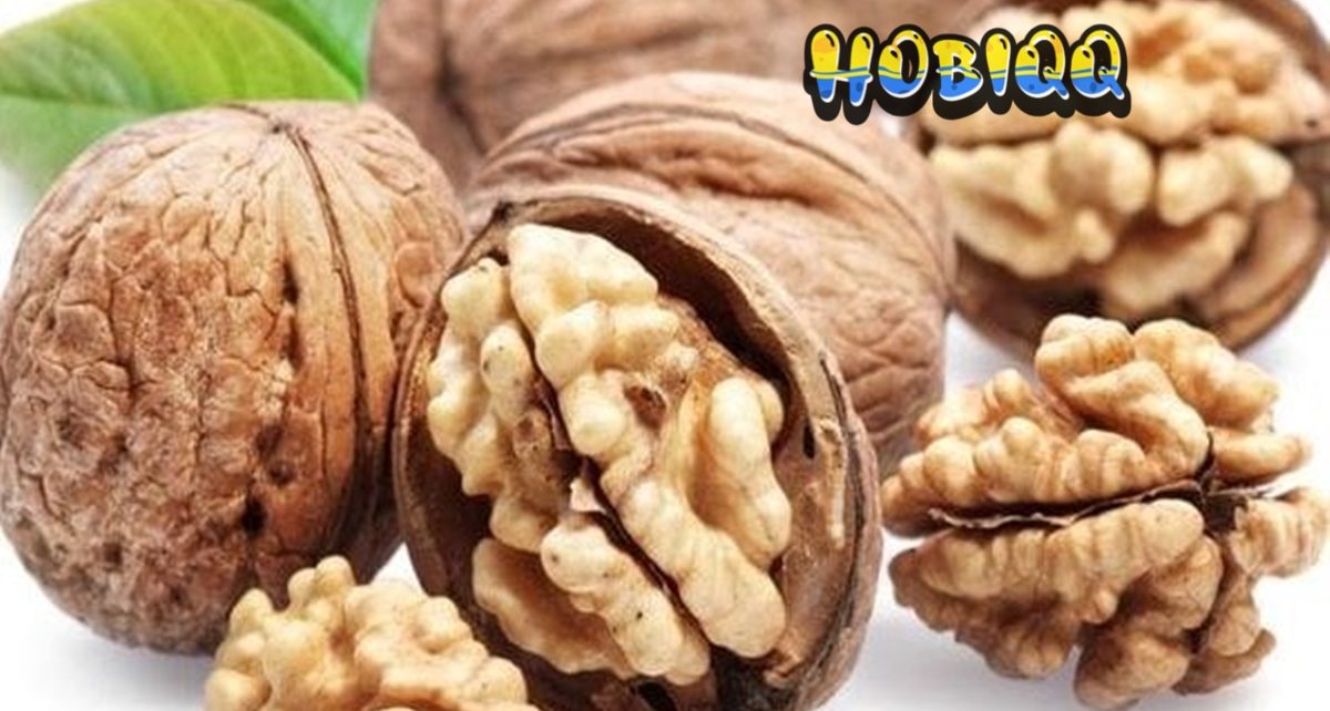 Mengenal Fakta Tentang Kacang Kenari Juglans