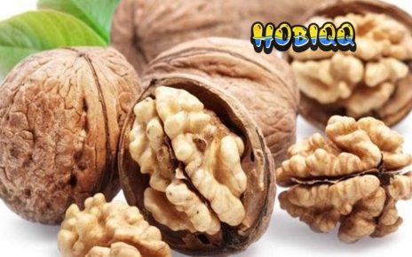 Mengenal Fakta Tentang Kacang Kenari Juglans