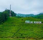 Puncak Bogor jadi Incaran Para Wisatawan