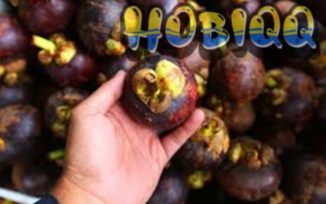 Manfaat Buah Manggis Bagi Kesehatan