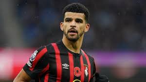 Dominic Solanke tipped for 'big ...