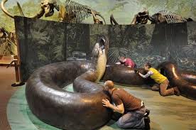 Mengenal Ular Titanoboa, Spesies Ular Purba Terbesar yang Pernah Ada di  Bumi - Semua Halaman - Bobo