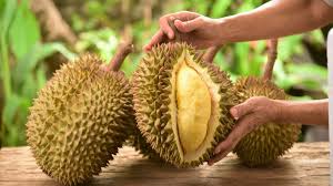 20 Manfaat Durian bagi Kesehatan Tubuh - KlikDokter