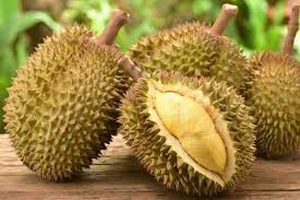 Keistimewaan Durian Bawor Dibanding Durian Lain - Artikel Pertanian Terbaru  | Berita Pertanian Terbaru