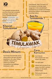 Infografik : Temulawak, Obat Unggulan ...