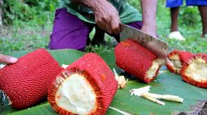 10 Manfaat Buah Merah Papua, Sudah Pernah Makan Moms? | Orami