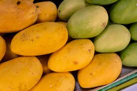 Mangga Images – Browse 896 Stock Photos ...